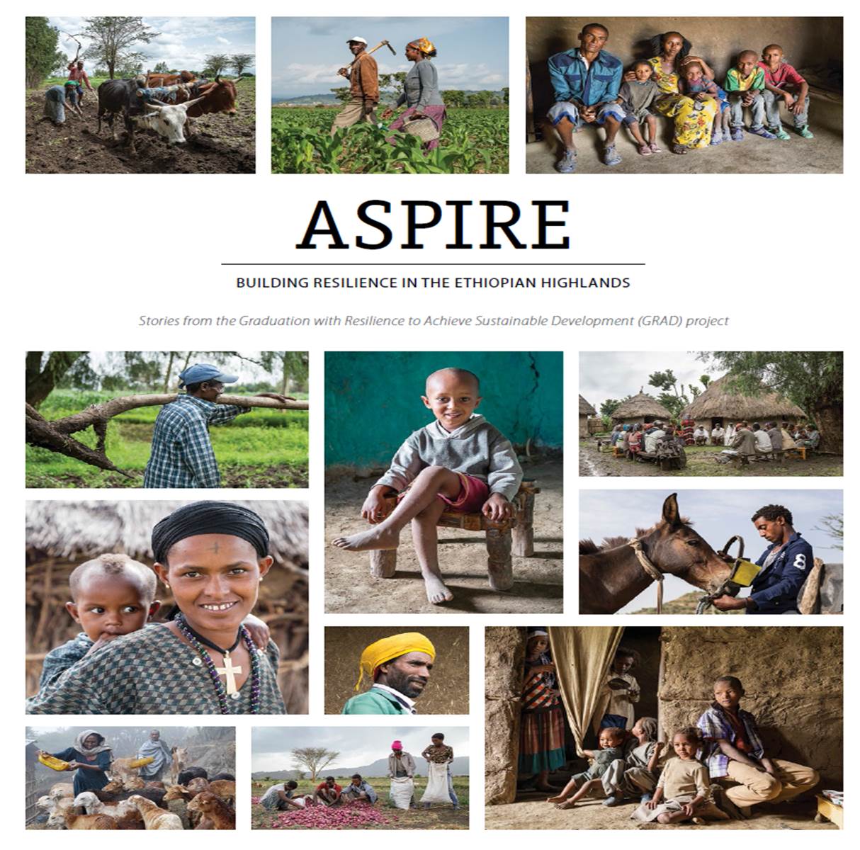 Aspire: Building Resilience in the Ethiopian Highlands
