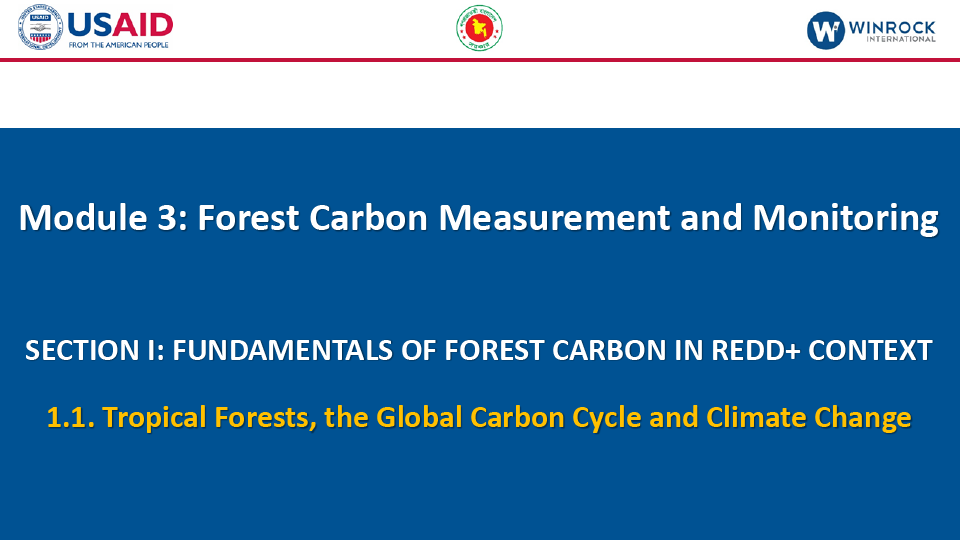 1.1. Forests, the Global Carbon Cycle and Climate Change