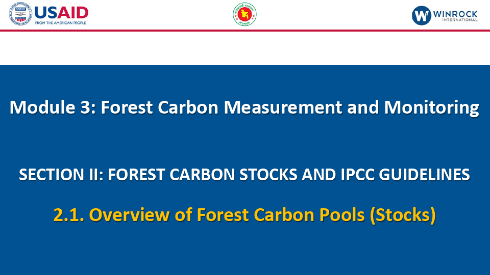 2.1. Overview of Forest Carbon Pools (Stocks)