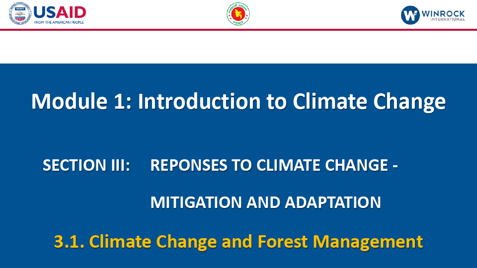 3.1. Climate Change and Forest Management