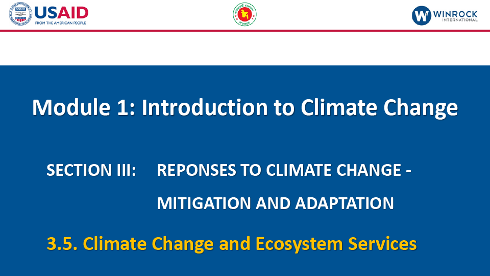 3.5. Climate Change and Ecosystem Services