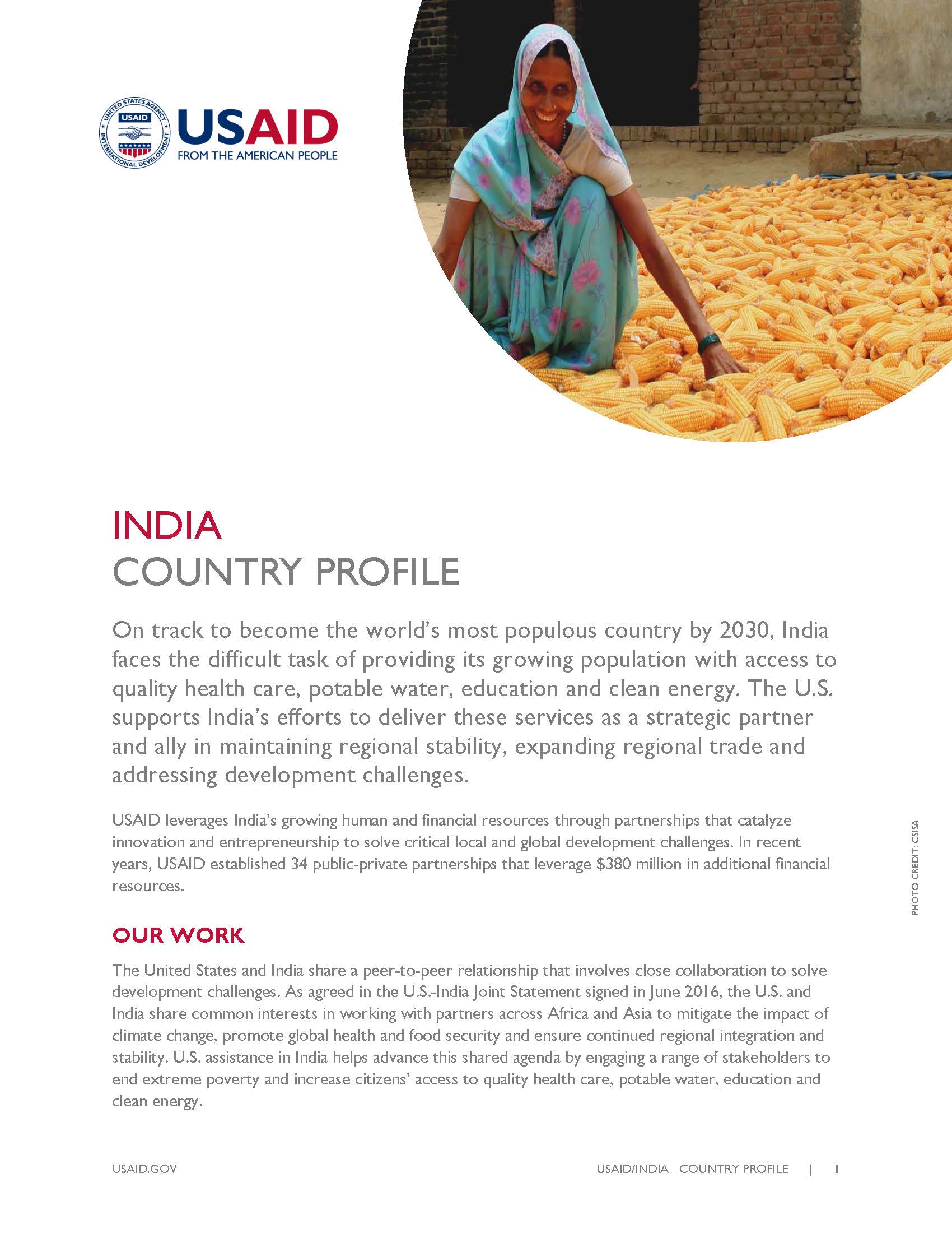 India Country Profile (PDF)