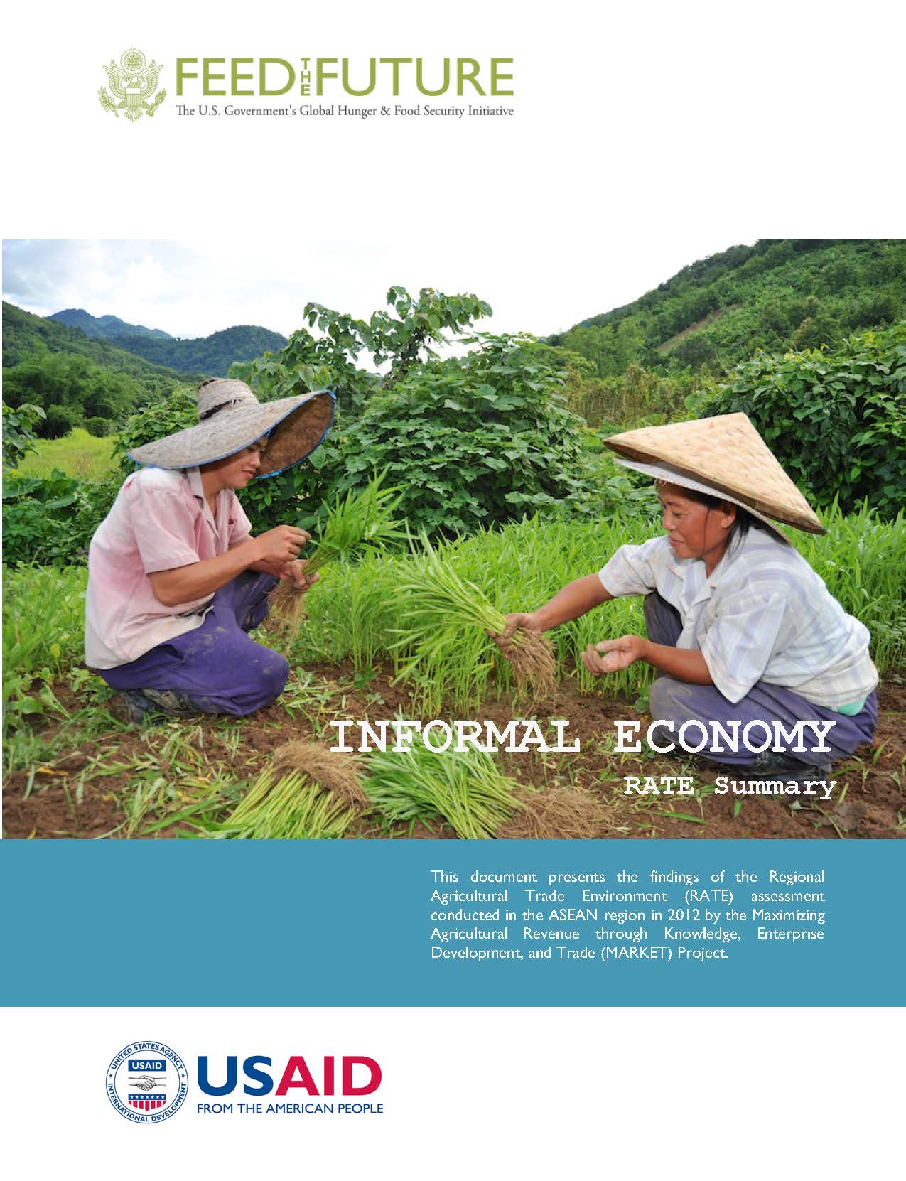 ASEAN Regional Agricultural Trade Environment Assessment Reports: Informal Economy 