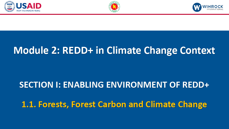 1.1. Forests, Forest Carbon and Climate Change