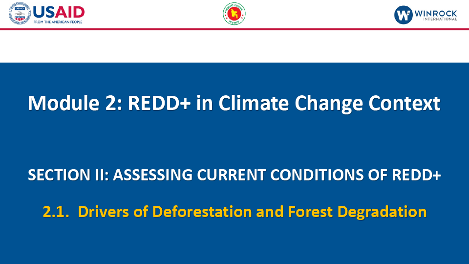 2.2. Fundamentals of Forest (Emission) Reference Levels