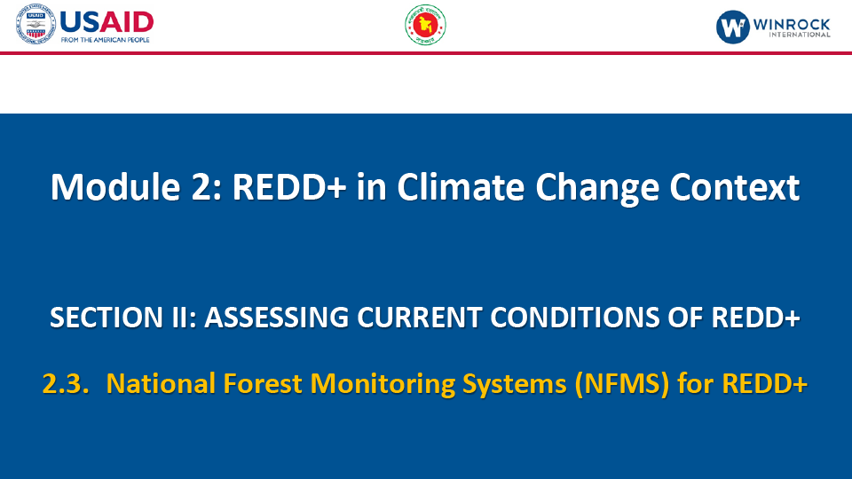3.1. Policies and Measures for REDD+ Implementation