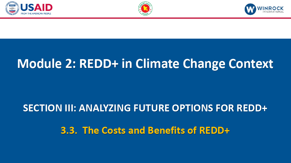 3.3. The Costs and Benefits of REDD+