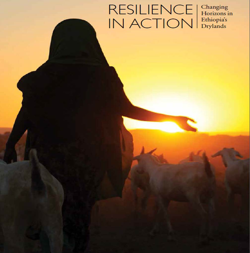 Resilience in Action: Changing Horizons in Ethiopia's Drylands