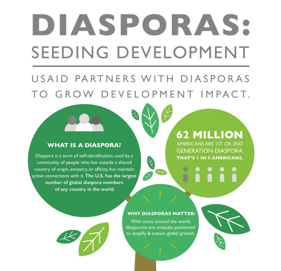 Diasporas: Seeding Development 