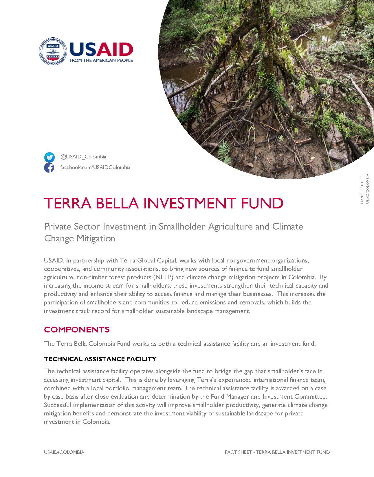 Terra Bella Investment Fund Factsheet