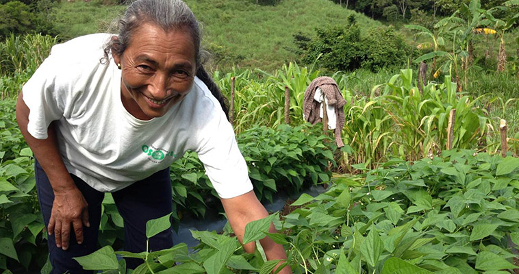 With Feed the Future’s help, women farmers are learning to produce high-value crops in Honduras. The woman pictured here is a member of a women’s group that has ventured into growing French beans for export to Guatemala.