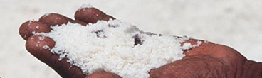 A hand holds a pile of salt