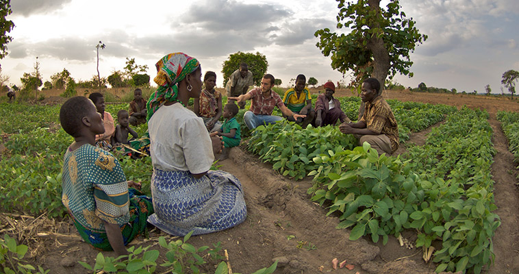 A Peace Corps Volunteer trains his local community in Malawi on the nutritional benefits of growing soy.