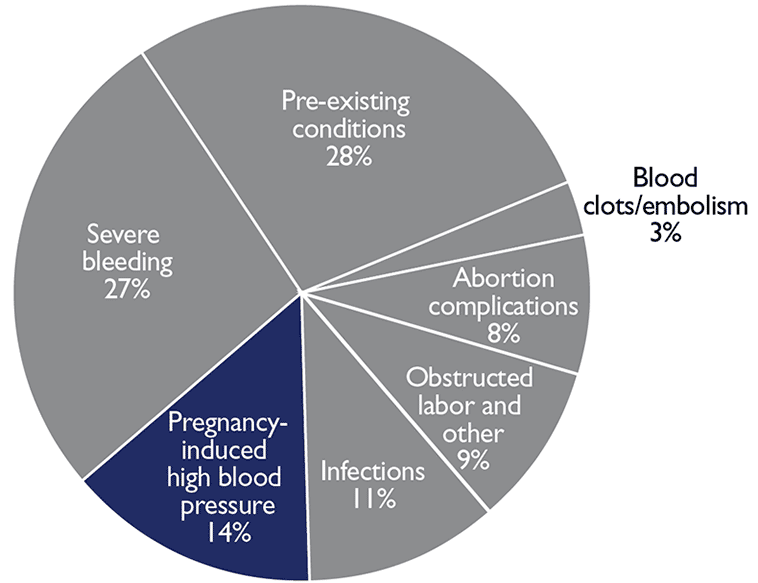 Graphic of a chart.<br />
Severe bleeding 27%<br />
Pregnancy-induced high blood pressure 14%<br />
Infections 11%<br />
Obstructed labor and other 9%<br />
Abortion complications 8%<br />
Blood clots/embolism 3%<br />
Pre-existing conditions 28%