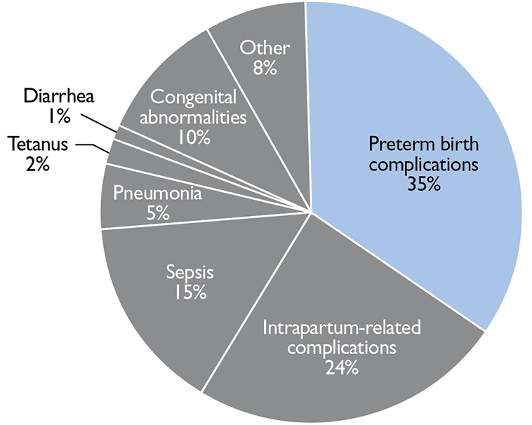 Graphic of a chart.<br />
Other 8%<br />
Congenital abnormalities 10%<br />
Diarrhea 1%<br />
Tetanus 2%<br />
Pneumonia 5%<br />
Sepsis 15%<br />
Intrapartum-related complications 24%<br />
Preterm birth complications 35%