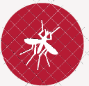 Graphic showing a mosquito