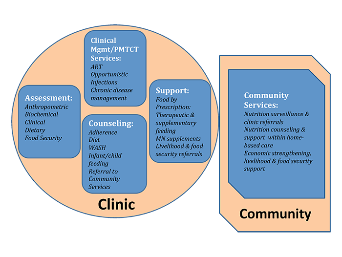 Diagram of clinic and community services