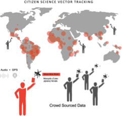 an infographic for Citizen Vector Tracking