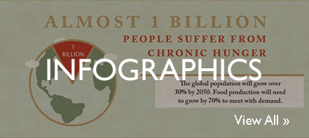 Screen grab from an infographic saying that almost 1 billion people suffer from chronic hunger.