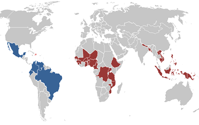World map of NTD countries highlighted in red and regional program countries in the Americas in blue. Please see table below for full list
