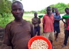 Cashew farmers and their children sell roadside as part of Mozambique’s informal cashew trade. Around three-fourths of the count
