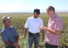 Potato farmers in the Samtskhe Javakheti region of Georgia discuss crop quality.