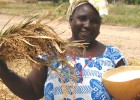 Coumbayel Coulibaly displays the fruits of the harvest.