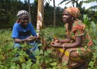 Jeannine Balagizi, left, and fellow farmer Beatrice Cibalonza M’Nyabahara grow beans among their coffee trees.