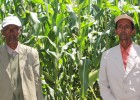 Brothers Bedasa, left, and Debela Ofosea pose where their two maize fields meet.