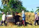 Farmers in Aklan province will be able to generate additional income by selling their rice husks to Asea One.