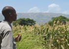 Master farmer Auguste Jean-Emmanuel looks out over the corn fields at the Rural Center for Sustainable Development in Bas-Boen.