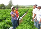 Farmer Cheryl Binns discusses her farming methods with other farmers and representatives from the Government of Jamaica.