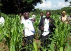 Innovators and ResilientAfrica Network staff meet with farmers to evaluate crop condition and search for weeds and pests.