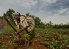USAID helps small-scale farmers and business people in Kenya acquire the skills, technology, loans, and market connections they 