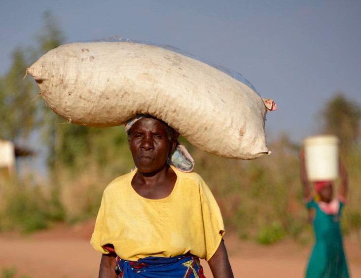 Food Security in Malawi SEG