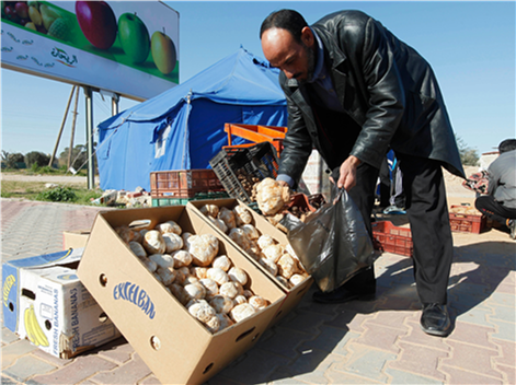 Libyan man buys desert truffles, called Terfaaz, in Tripoli. Terfaaz mushrooms are considered a delicacy in Libya and can be found in arid parts of western Libya between the months of August and February.