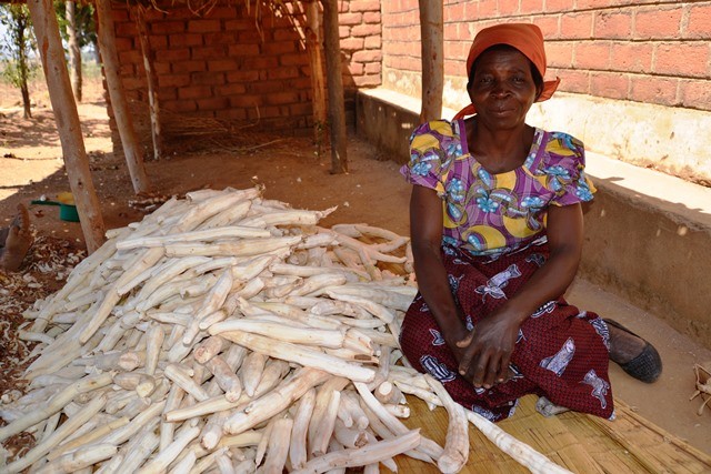 Malawi Hunger Food Security