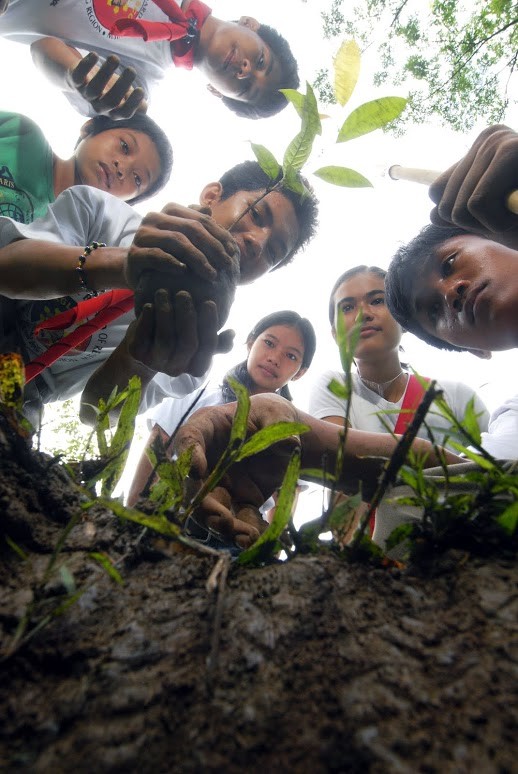 Philippino Boy Scout Siegfried Murallo and other Boy Scouts and Girl Scouts plant a mahogany tree seedling.