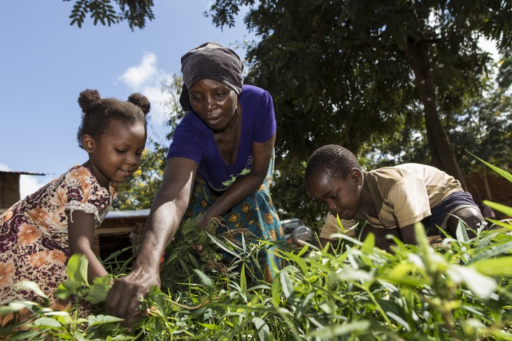 Aziza Ismail Waziri (in purple) tends to her home garden with the help of her children in the village of Kauzeni