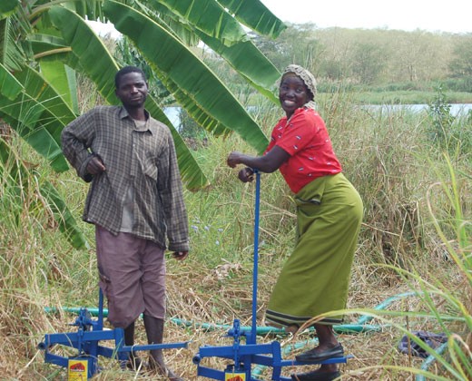 Treadle pumps allow the people of Southern Malawi to use their own foot power to pull water from the Shire River to irrigate the
