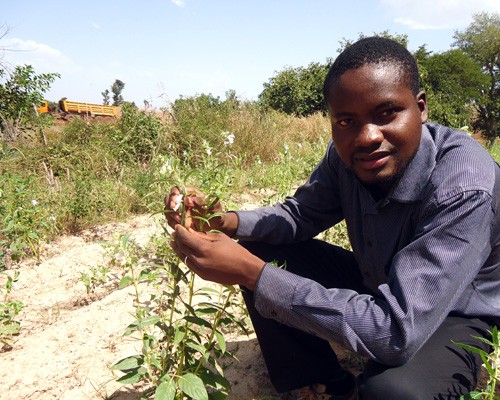 A participant in a Malian youth entrepreneur program supported by USAID gives a land investment tour.
