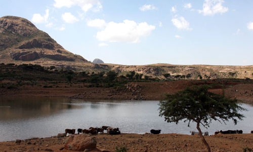A water catchment area in the Tahtay Migaria-tsemri, Mai-Aqui site located in the Tigray region of Ethiopia that is frequently d