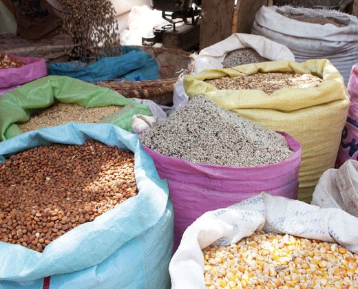 Locally produced grains, including corn, sorghum and cow peas, for sale in a Senegal market