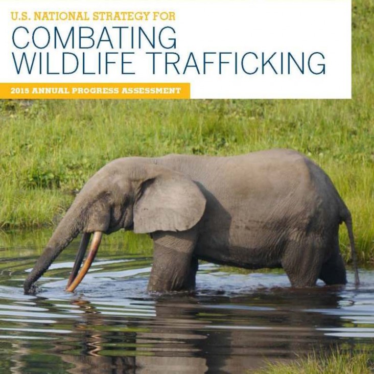 2015 Progress Assessment: U.S. National Strategy to Combat Wildlife Trafficking