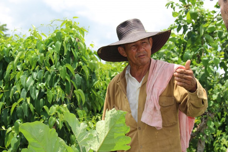 A farmer in San Rafael, Montes de Maria in northern Colombia 