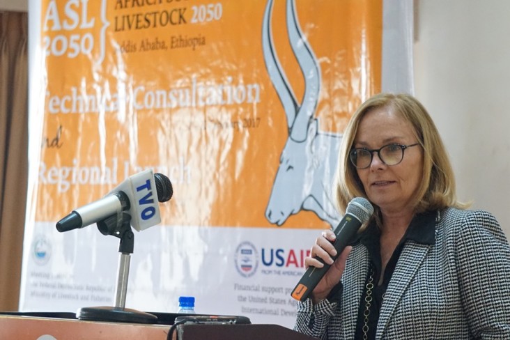 USAID Ethiopia Mission Director discusses the livestock sector at the Africa Sustainable Livestock - 2050 launch.