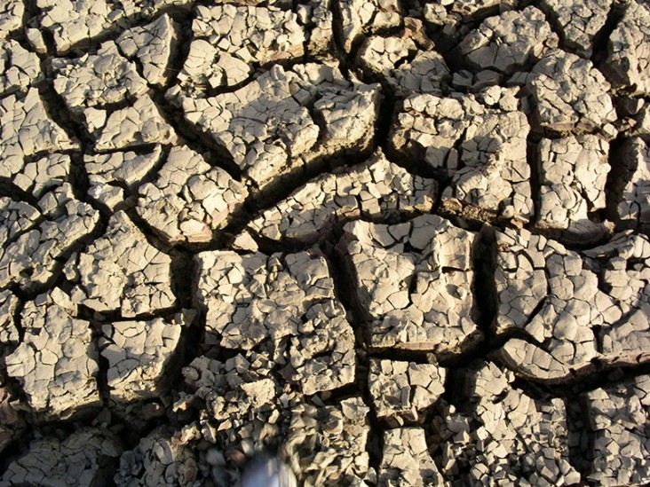 Swaziland Drought