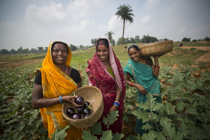 Geeta Devi, Sumitra Devi and Mina Devi are women farmers in the Banka District of Bihar, one of the poorest districts in India.