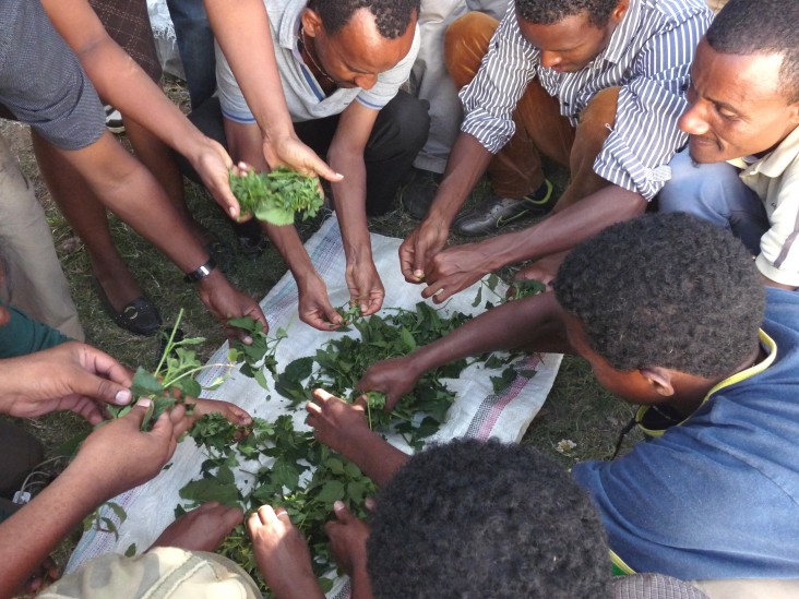 PermaGardening training helps families to produce vegetables in a small garden in a sustainable manner.