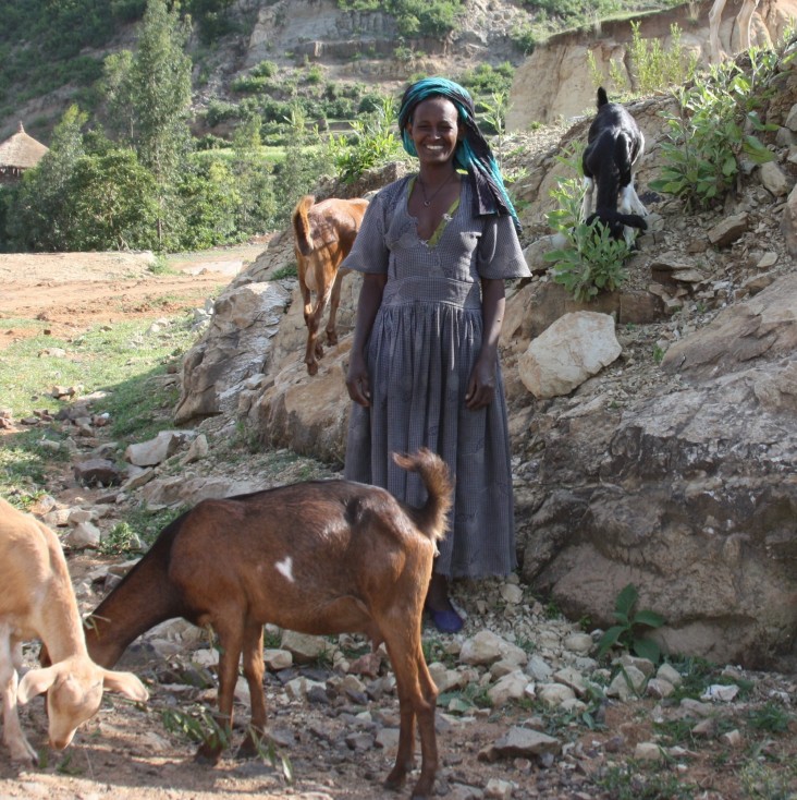 Tirawork Ayele stands with her goats—important nutrition and income assets for her family.